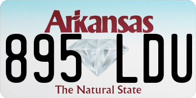 AR license plate 895LDU