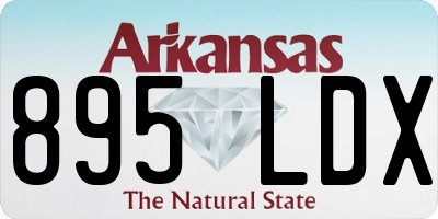 AR license plate 895LDX