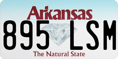 AR license plate 895LSM