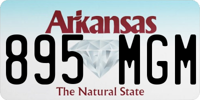 AR license plate 895MGM