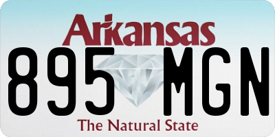 AR license plate 895MGN