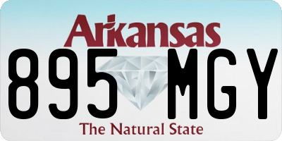 AR license plate 895MGY