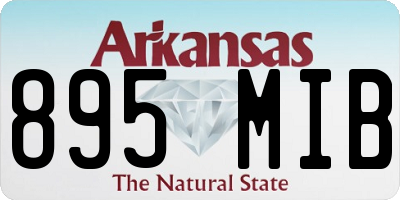 AR license plate 895MIB