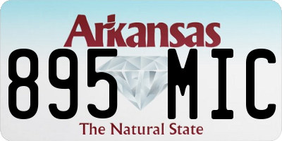 AR license plate 895MIC