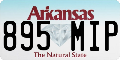 AR license plate 895MIP