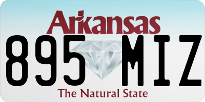AR license plate 895MIZ