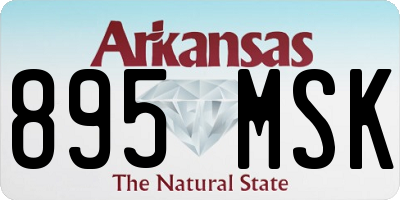 AR license plate 895MSK