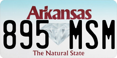 AR license plate 895MSM