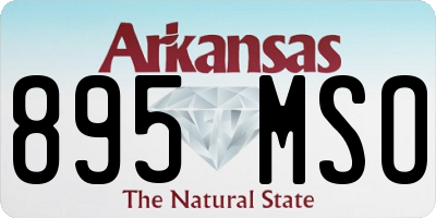 AR license plate 895MSO