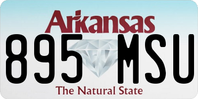 AR license plate 895MSU