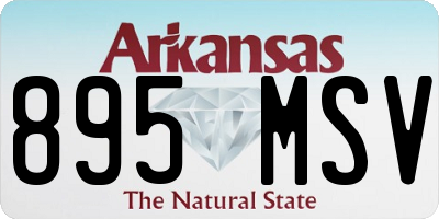AR license plate 895MSV