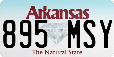 AR license plate 895MSY