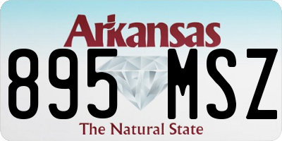 AR license plate 895MSZ