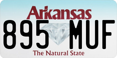 AR license plate 895MUF
