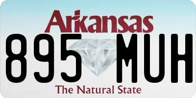 AR license plate 895MUH