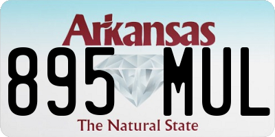 AR license plate 895MUL