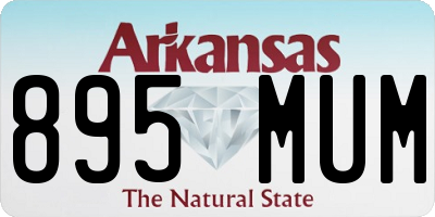 AR license plate 895MUM