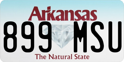 AR license plate 899MSU