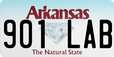 AR license plate 901LAB