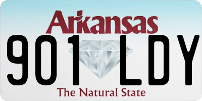 AR license plate 901LDY