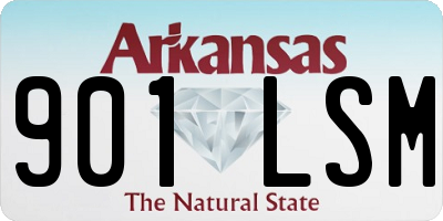 AR license plate 901LSM