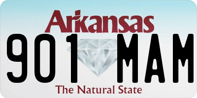 AR license plate 901MAM