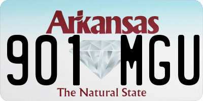AR license plate 901MGU