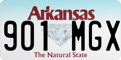 AR license plate 901MGX
