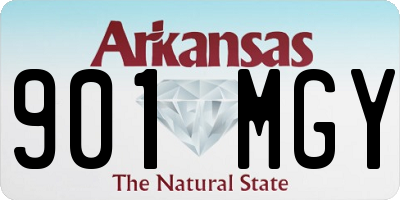 AR license plate 901MGY