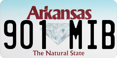 AR license plate 901MIB