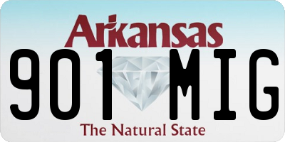 AR license plate 901MIG
