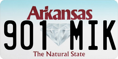 AR license plate 901MIK