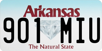 AR license plate 901MIU