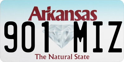 AR license plate 901MIZ