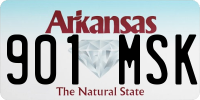 AR license plate 901MSK