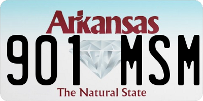 AR license plate 901MSM