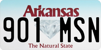 AR license plate 901MSN