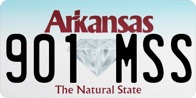 AR license plate 901MSS