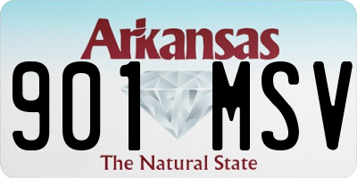 AR license plate 901MSV