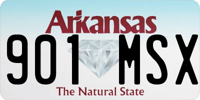 AR license plate 901MSX
