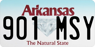 AR license plate 901MSY