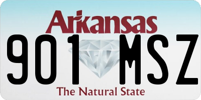 AR license plate 901MSZ