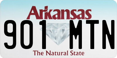 AR license plate 901MTN