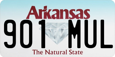 AR license plate 901MUL