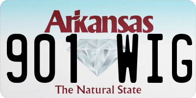 AR license plate 901WIG