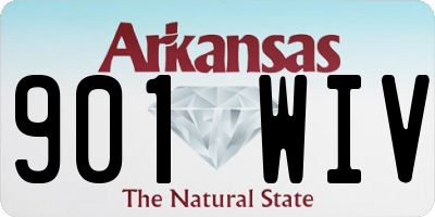AR license plate 901WIV