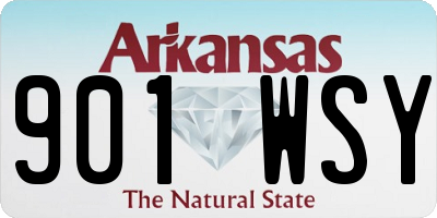 AR license plate 901WSY