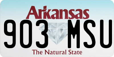 AR license plate 903MSU