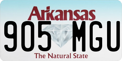 AR license plate 905MGU
