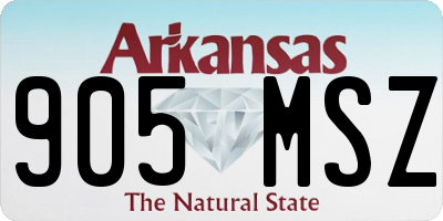 AR license plate 905MSZ